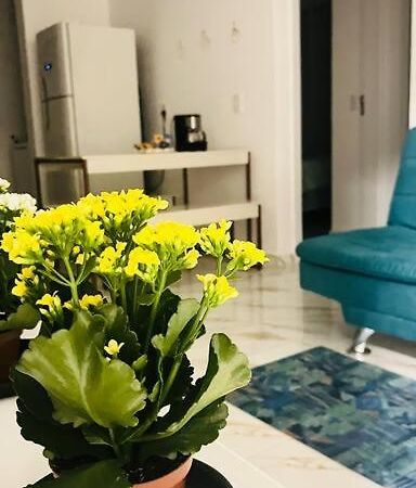 Apartamento No Andar Terreo فوز دو إيغواسو المظهر الخارجي الصورة